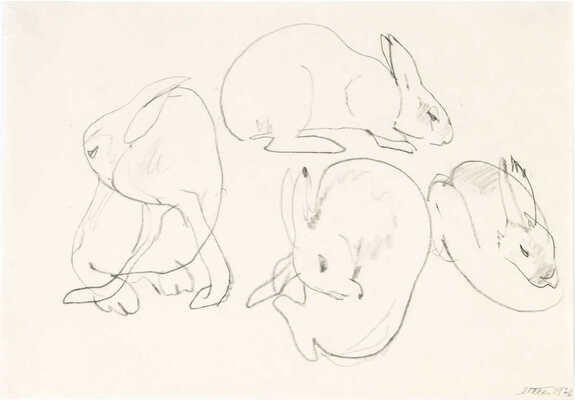 Шишмарёва Татьяна Владимировна. Кролики